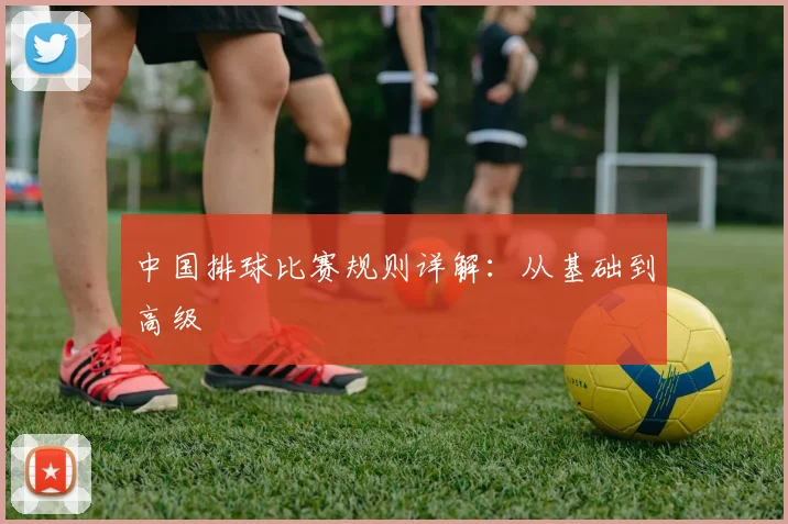 中国排球比赛规则详解：从基础到高级